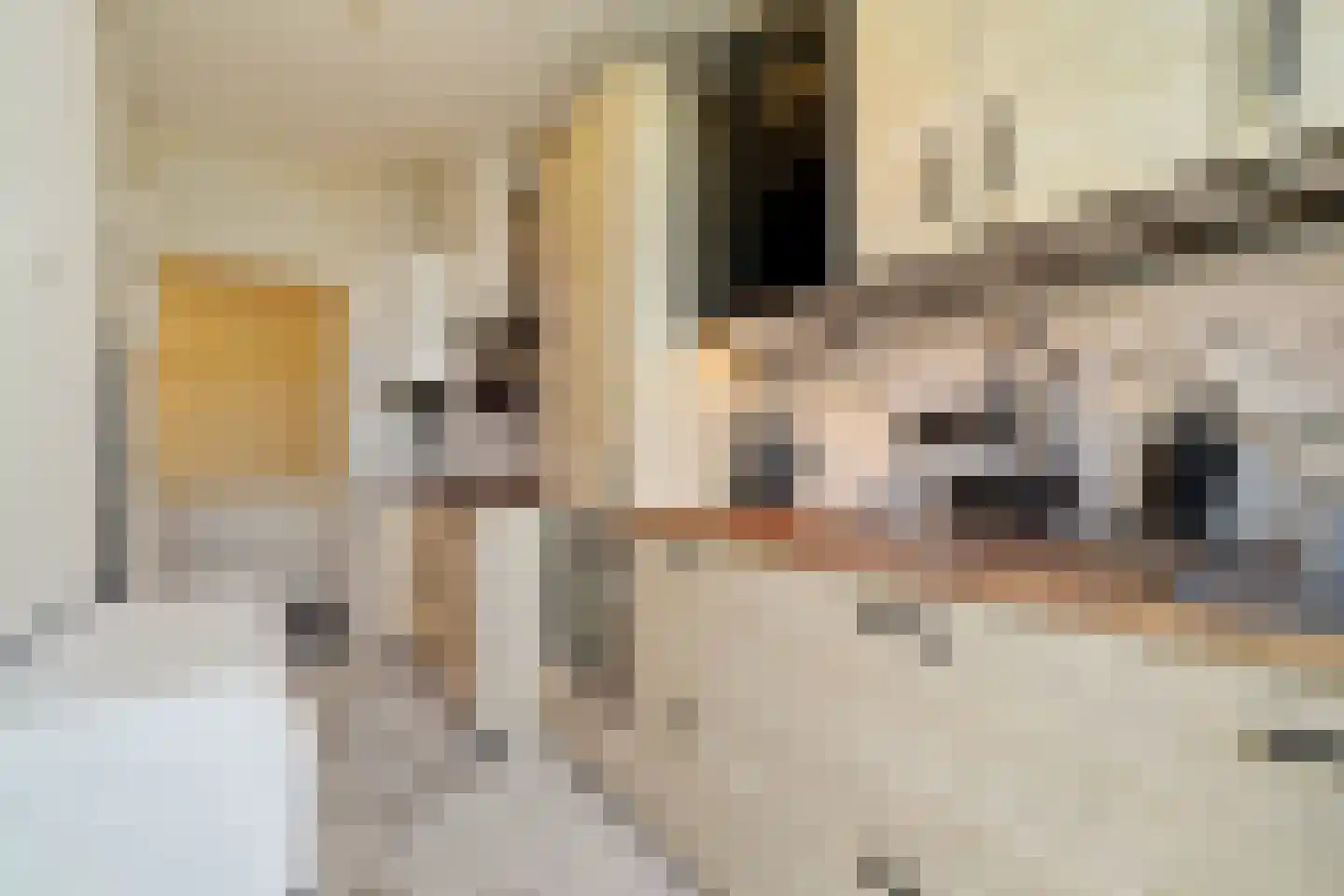 Spionkopstraat 22 Den Haag thumbnail 25