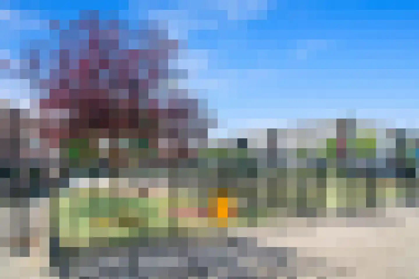 Spionkopstraat 22 Den Haag thumbnail 35