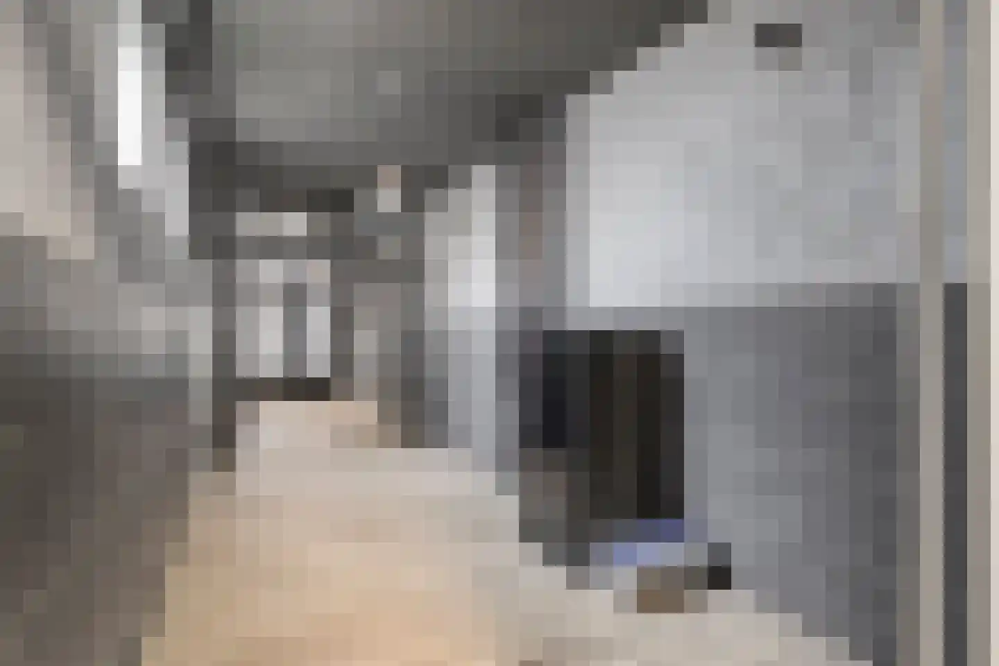 Spionkopstraat 47 A Den Haag thumbnail 10