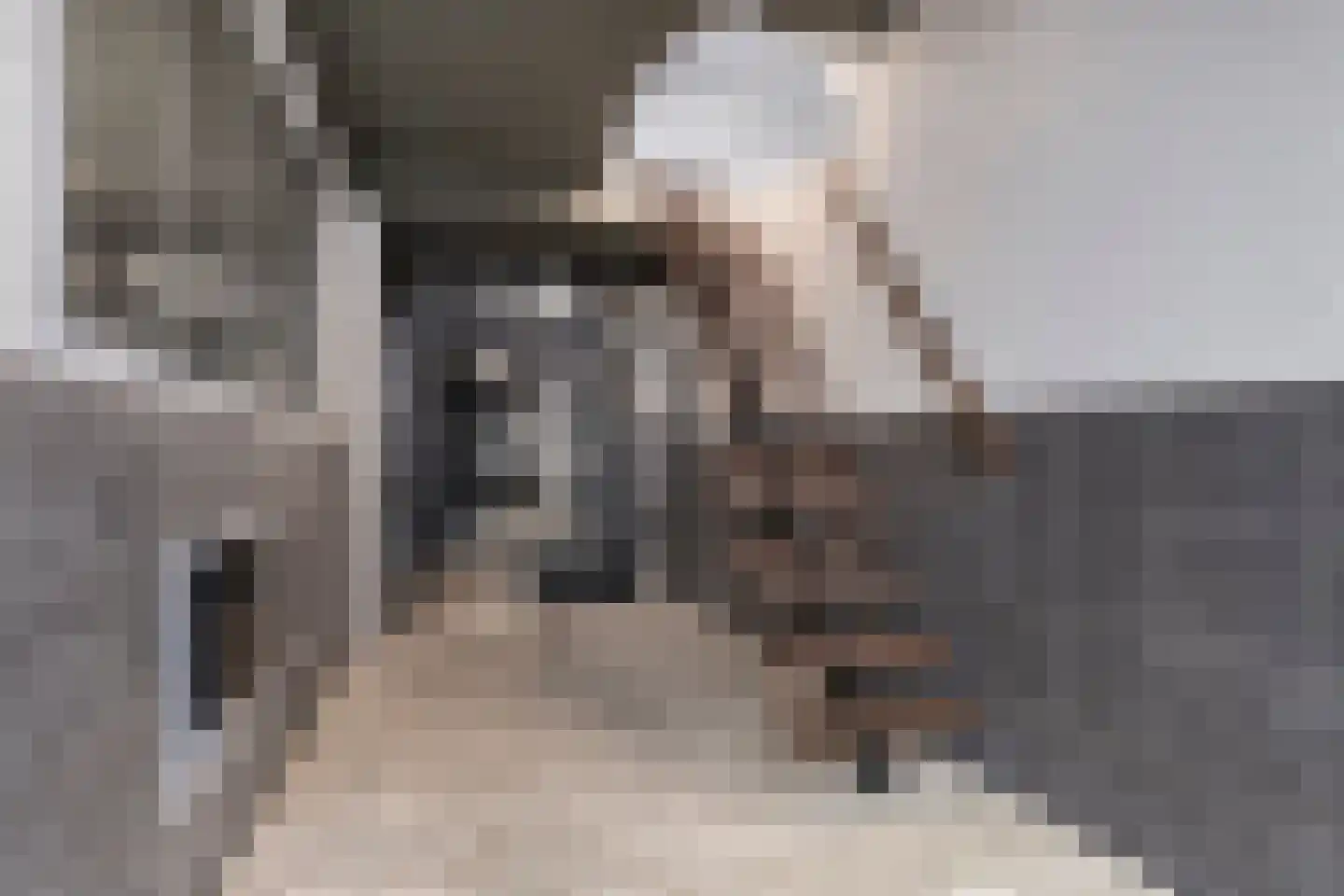 Spionkopstraat 47 A Den Haag thumbnail 4