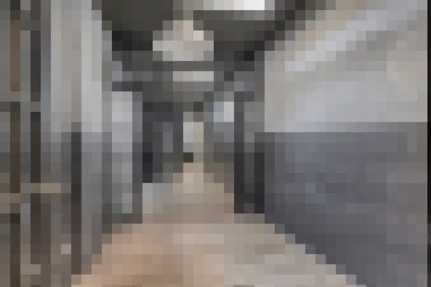 Spionkopstraat 47 A Den Haag thumbnail 5
