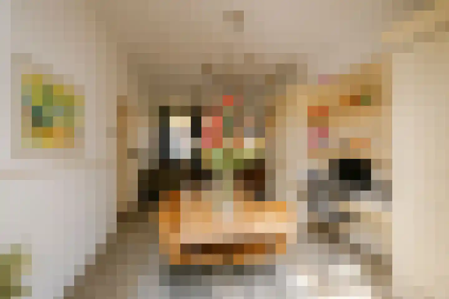 Spionkopstraat 54 Haarlem thumbnail 10