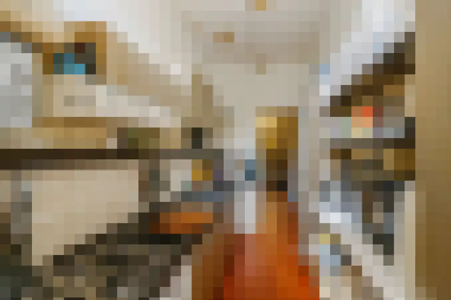 Spionkopstraat 54 Haarlem thumbnail 12