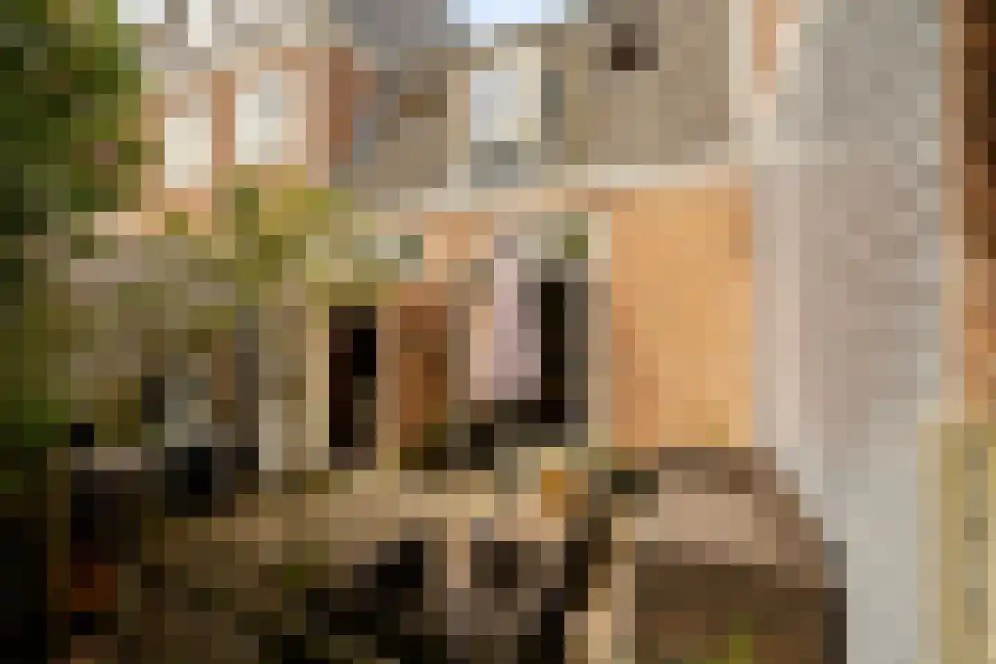 Spionkopstraat 54 Haarlem thumbnail 13