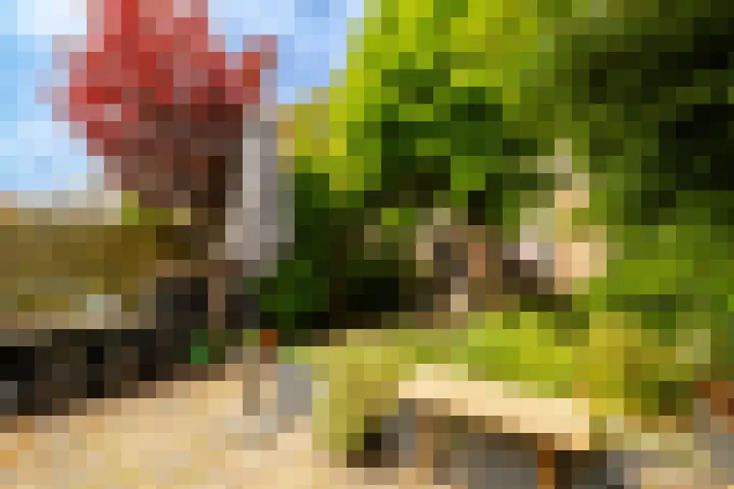 Spionkopstraat 54 Haarlem thumbnail 16
