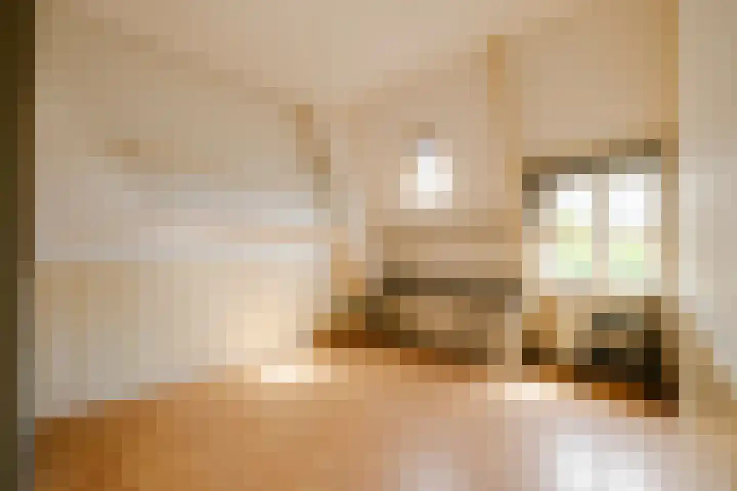 Spionkopstraat 54 Haarlem thumbnail 21