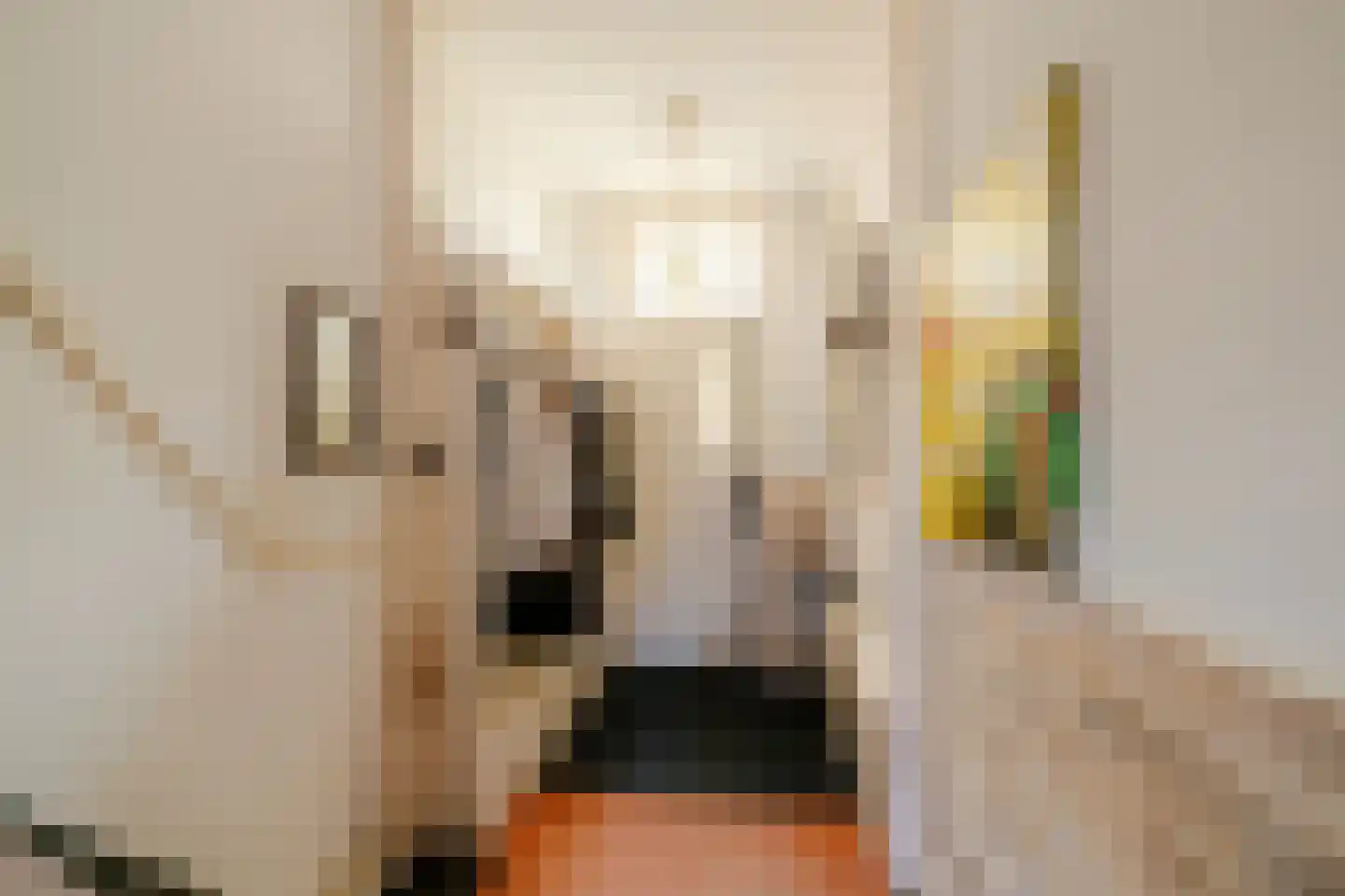 Spionkopstraat 54 Haarlem thumbnail 6