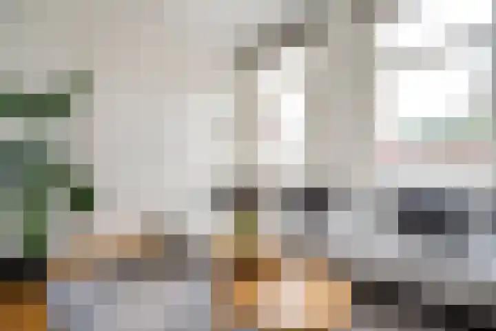 Spionkopstraat 69 Haarlem thumbnail 12