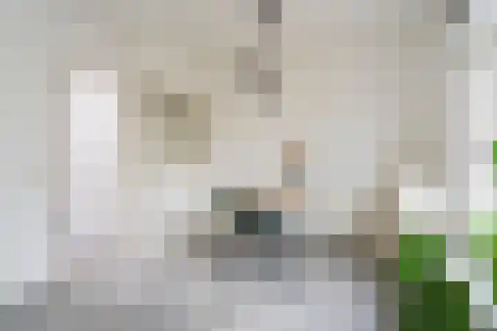 Spionkopstraat 69 Haarlem thumbnail 30