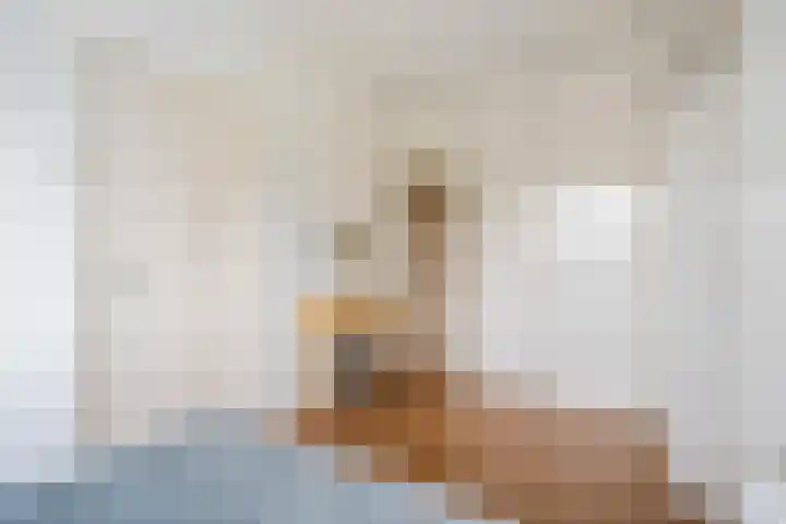 Spionkopstraat 69 Haarlem thumbnail 39