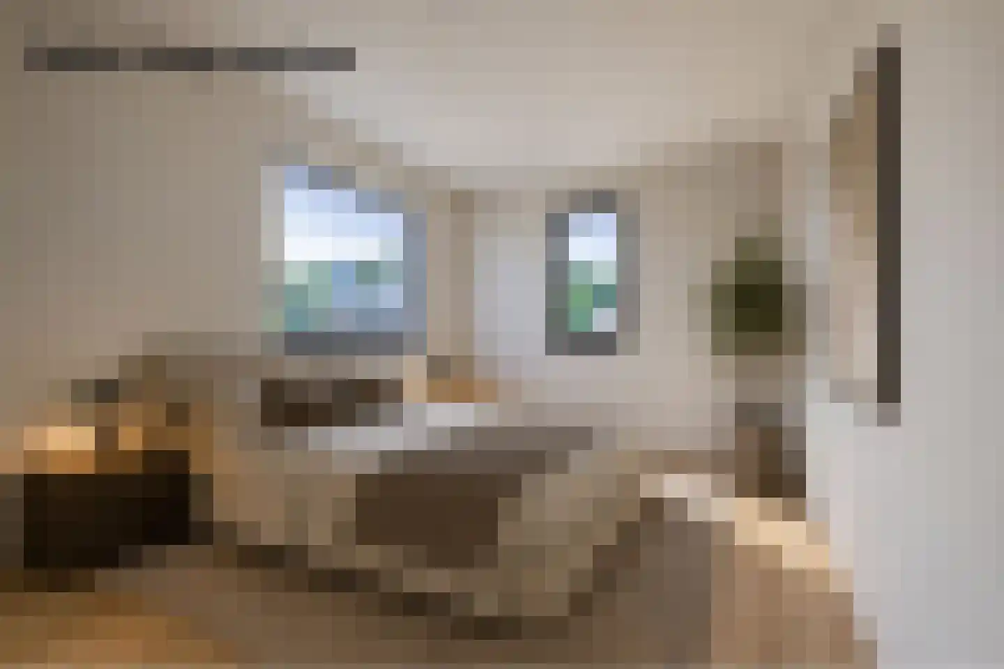 Spiraal 6 Uden thumbnail 33