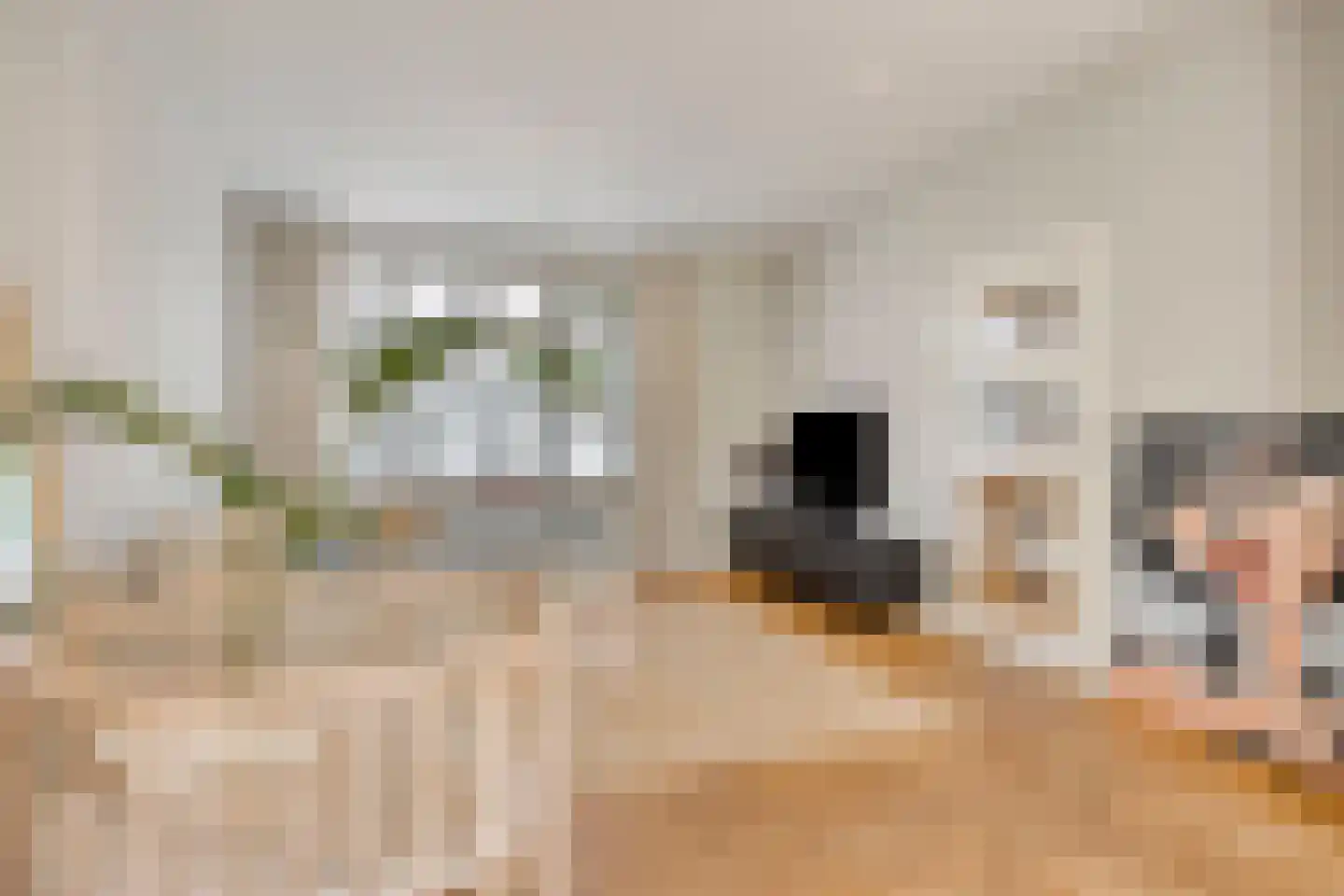 Spiraeastraat 1 Eindhoven thumbnail 11