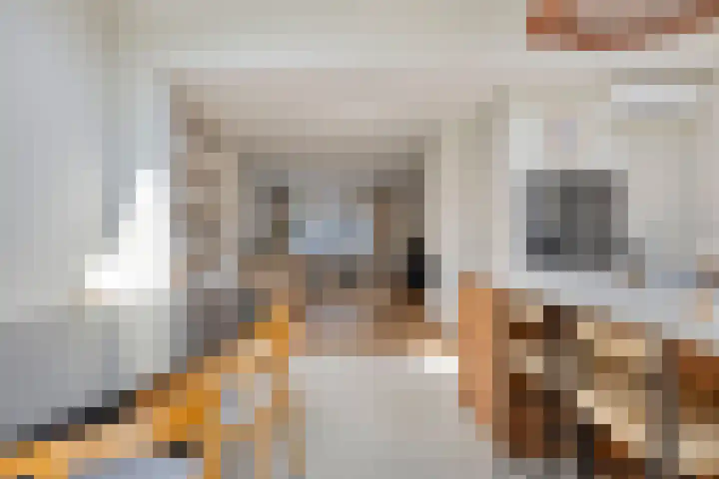 Spiraeastraat 1 Eindhoven thumbnail 19
