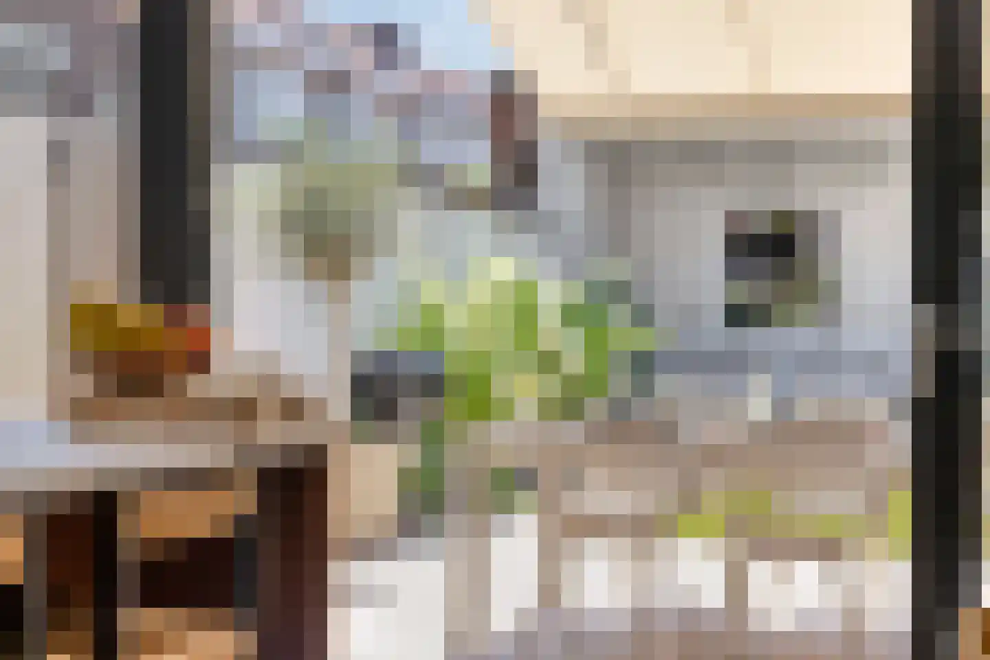 Spiraeastraat 1 Eindhoven thumbnail 28