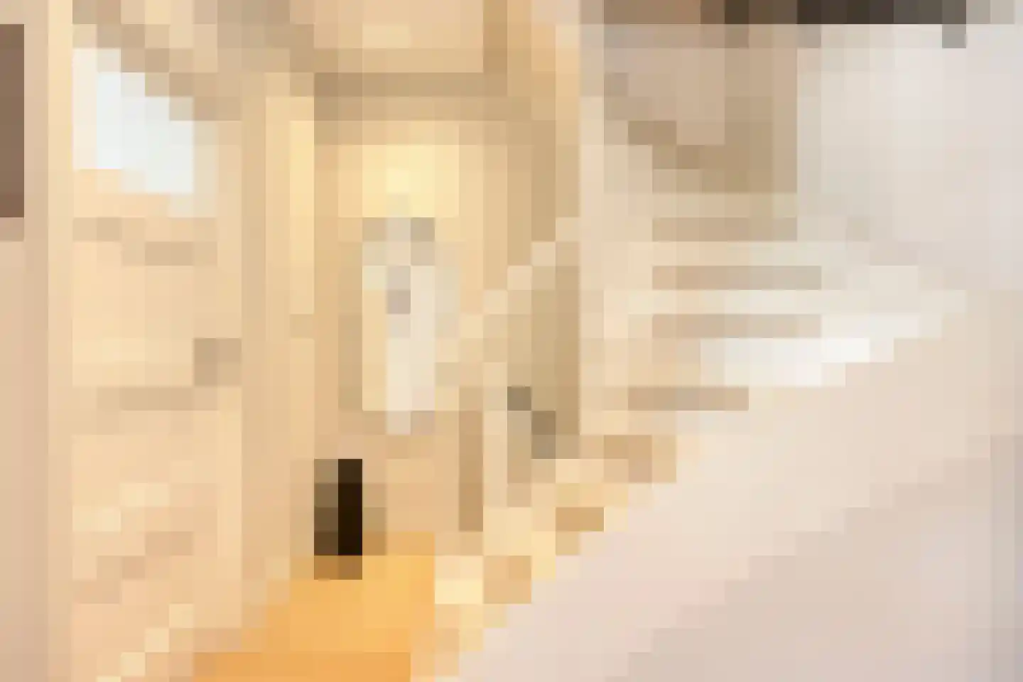 Spiraeastraat 1 Eindhoven thumbnail 29