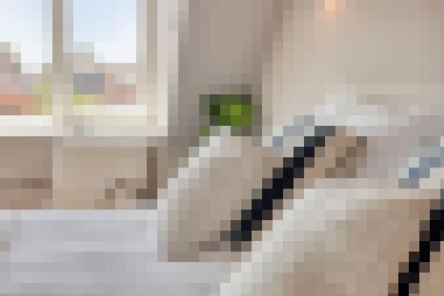 Spiraeastraat 1 Eindhoven thumbnail 55