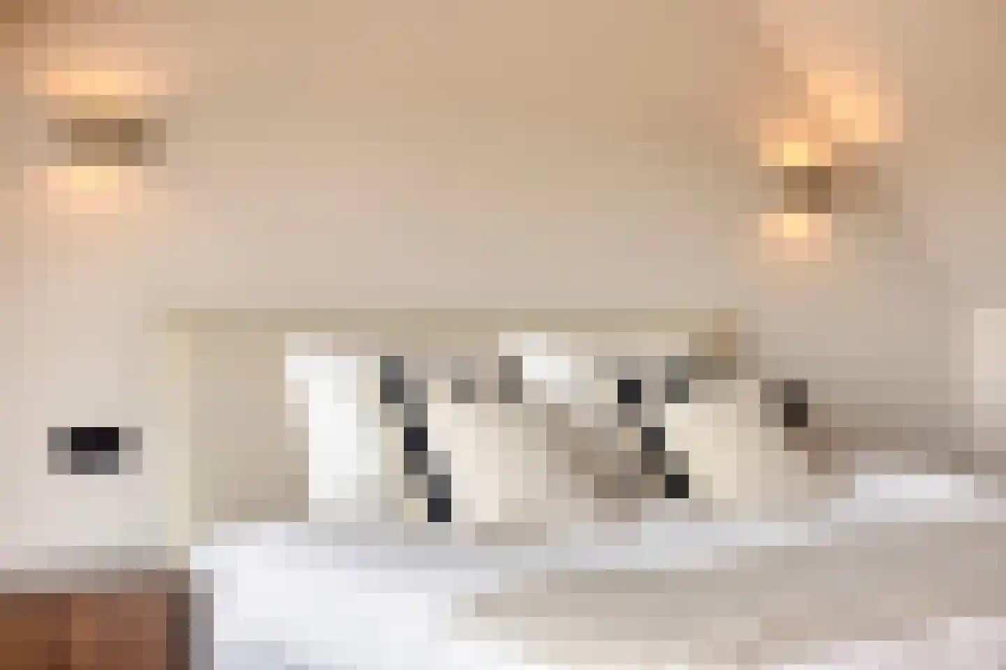 Spiraeastraat 1 Eindhoven thumbnail 57