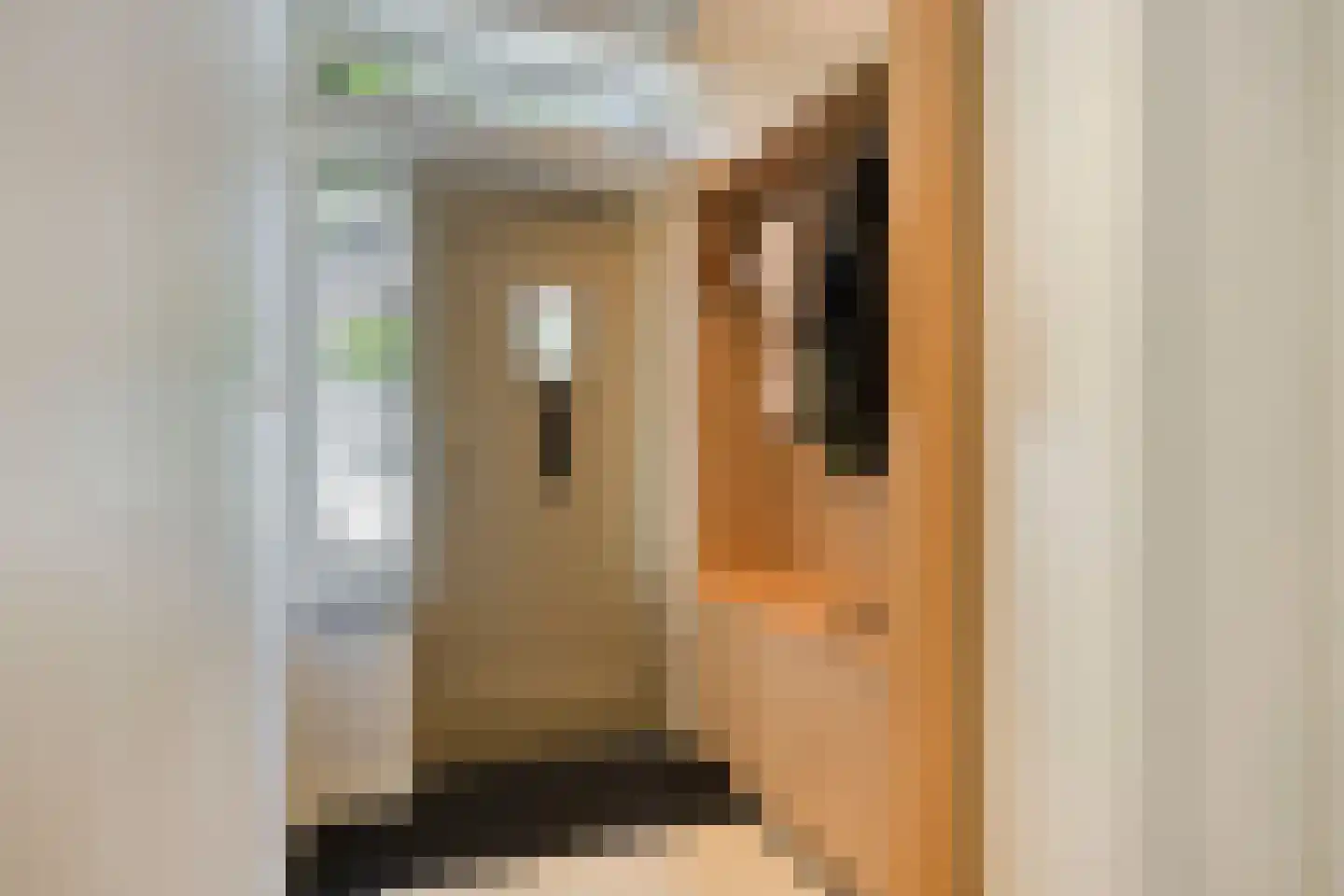 Spiraeastraat 1 Eindhoven thumbnail 6