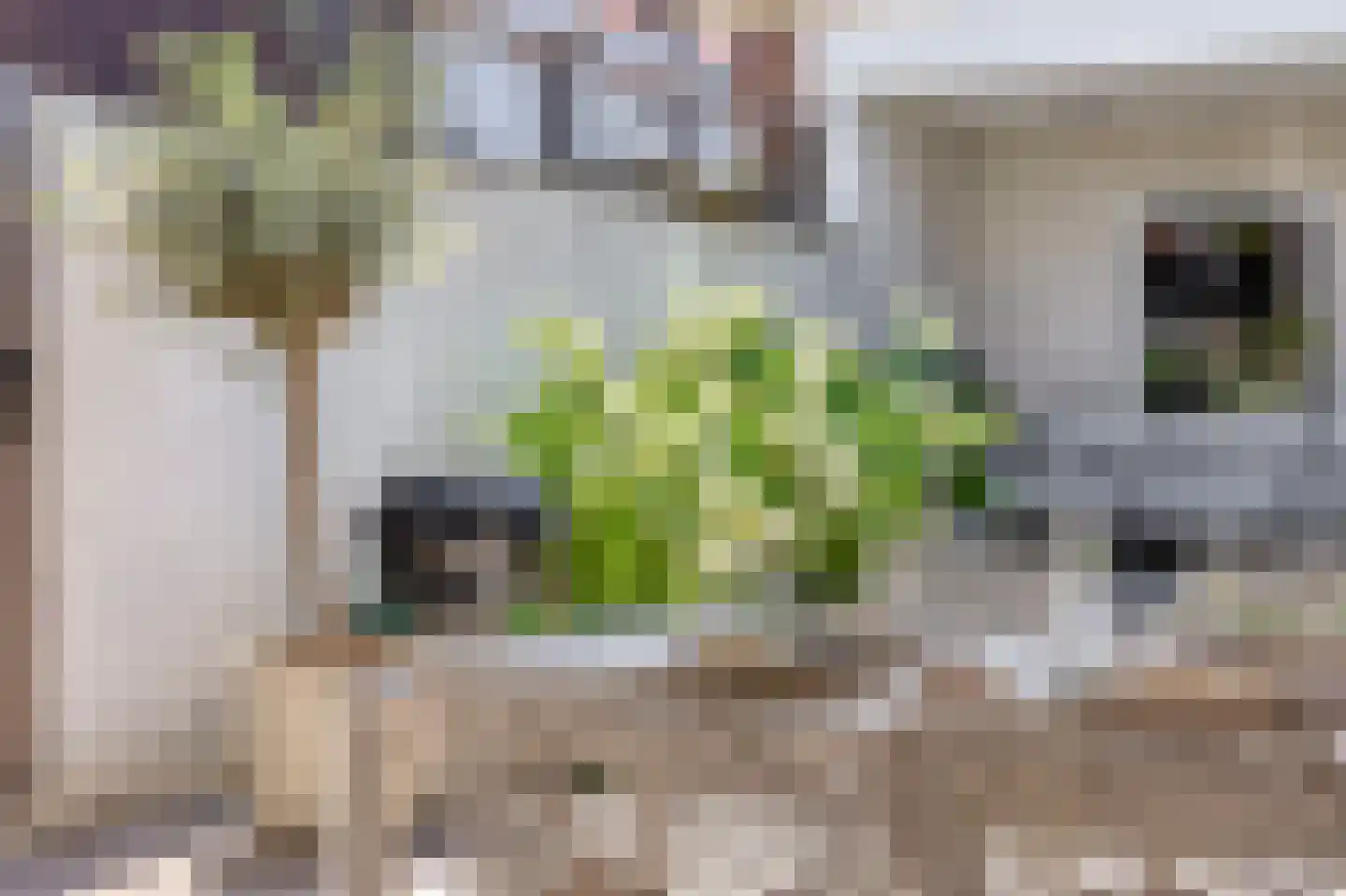Spiraeastraat 1 Eindhoven thumbnail 64