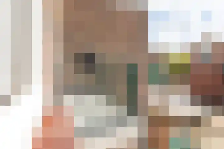 Spiraeastraat 10 Den Haag thumbnail 11