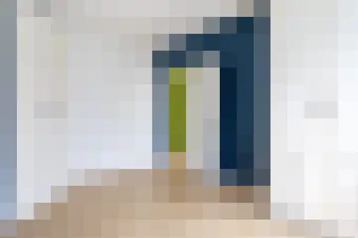 Spiraeastraat 10 Den Haag thumbnail 14