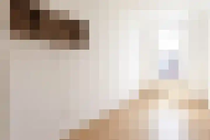 Spiraeastraat 10 Den Haag thumbnail 17