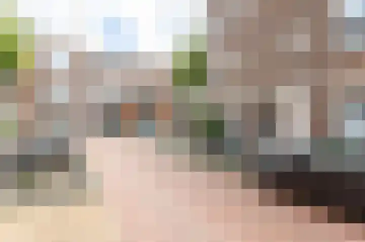 Spiraeastraat 10 Den Haag thumbnail 23