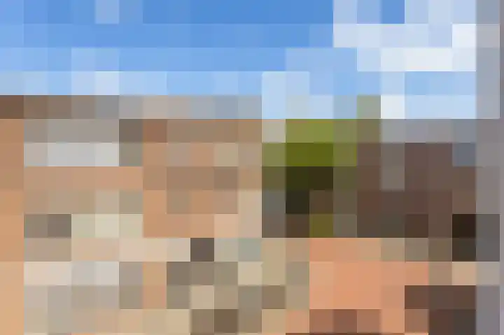 Spiraeastraat 10 Den Haag thumbnail 4