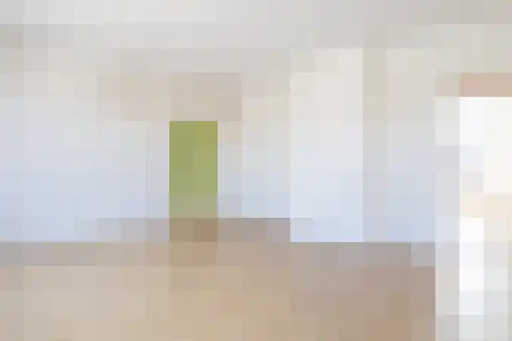 Spiraeastraat 10 Den Haag thumbnail 5