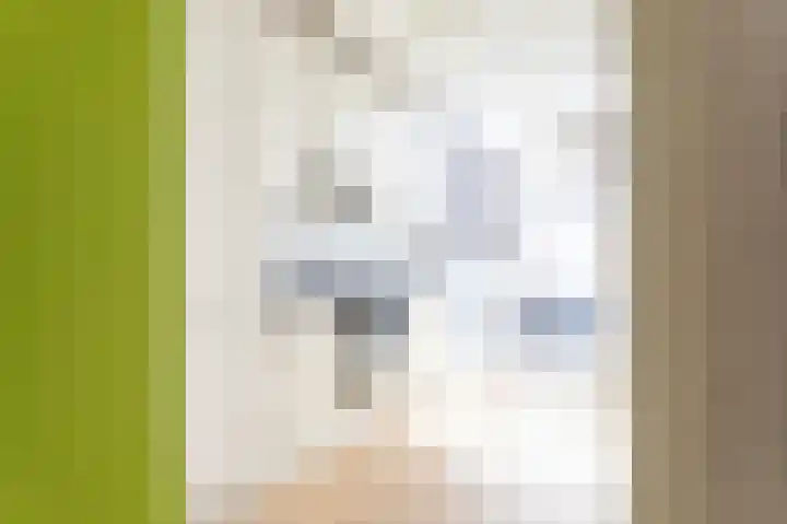Spiraeastraat 10 Den Haag thumbnail 7