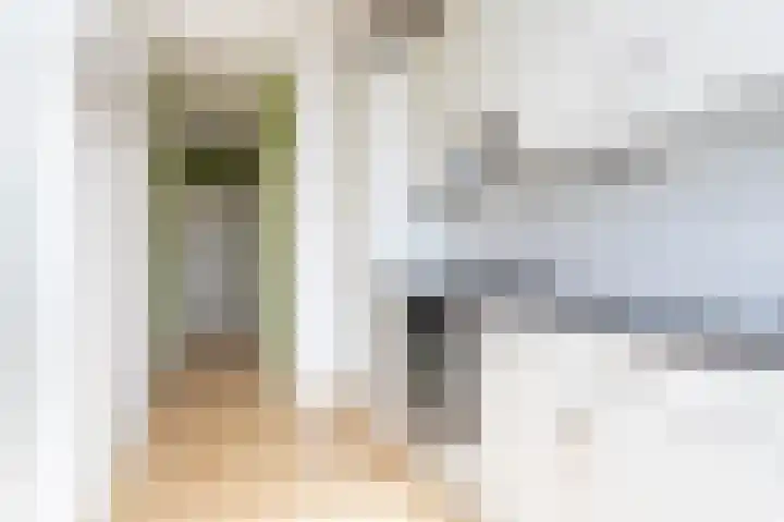 Spiraeastraat 10 Den Haag thumbnail 8