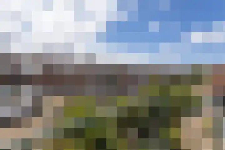 Spiraeastraat 10 Den Haag thumbnail 9