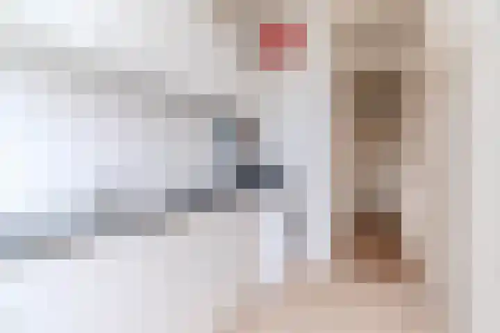 Spiraeastraat 100 Den Haag thumbnail 16