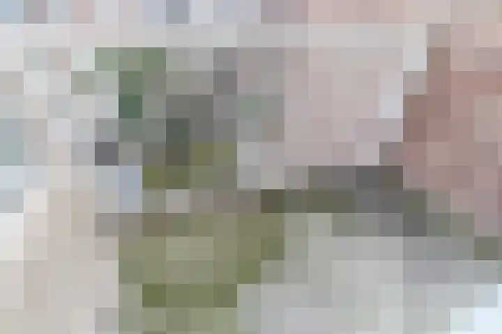 Spiraeastraat 100 Den Haag thumbnail 17