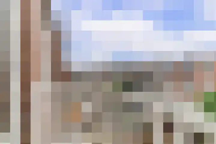 Spiraeastraat 100 Den Haag thumbnail 18
