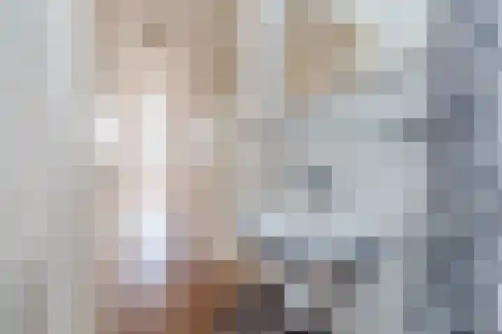 Spiraeastraat 100 Den Haag thumbnail 22