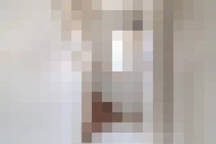 Spiraeastraat 100 Den Haag thumbnail 5