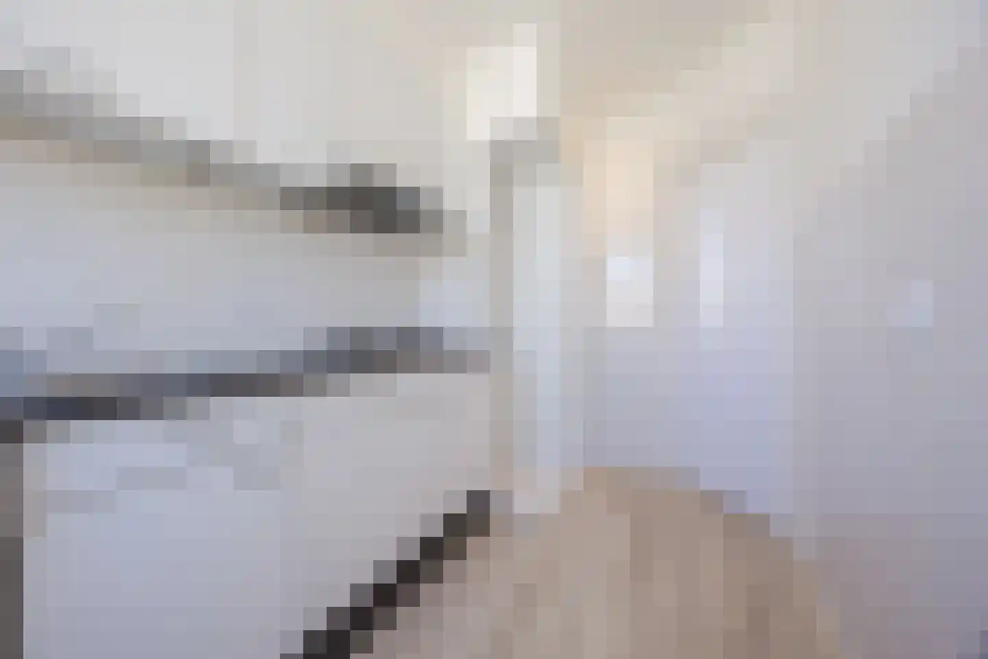 Spiraeastraat 103 Den Haag thumbnail 11