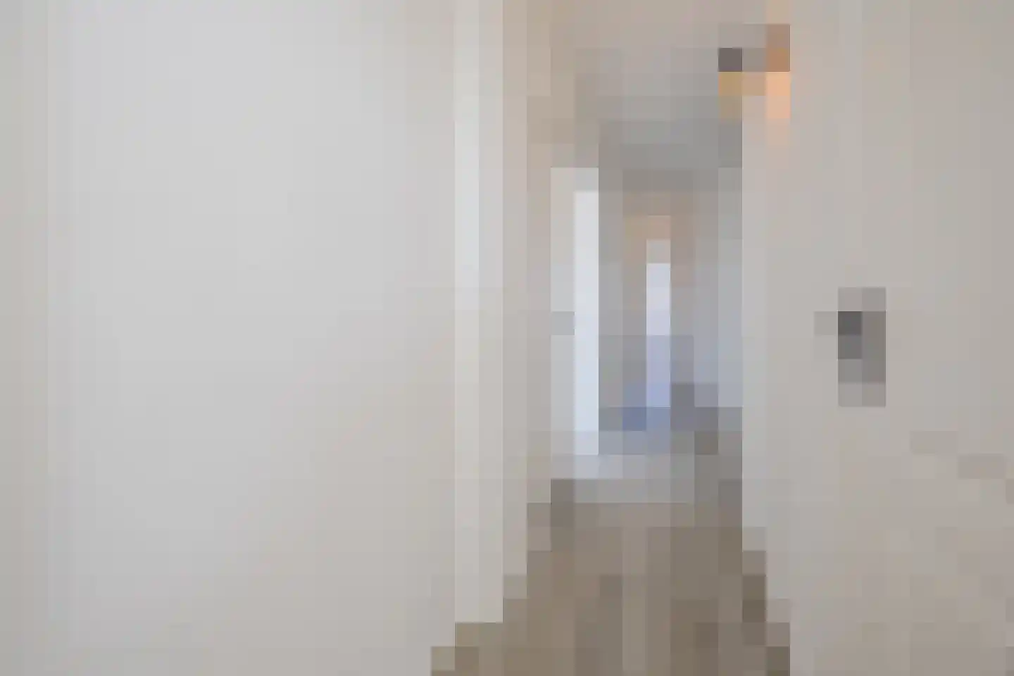 Spiraeastraat 103 Den Haag thumbnail 21