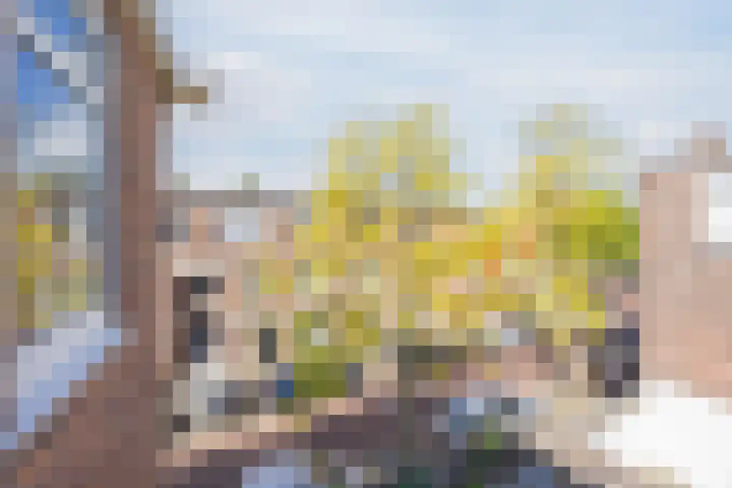 Spiraeastraat 103 Den Haag thumbnail 27