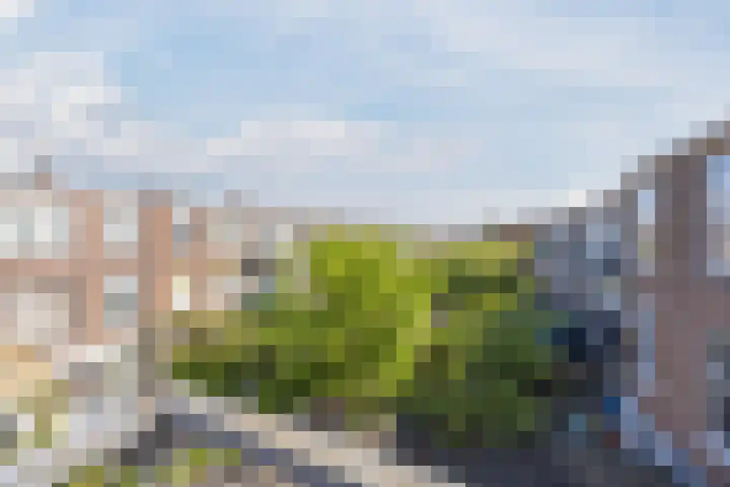 Spiraeastraat 103 Den Haag thumbnail 28
