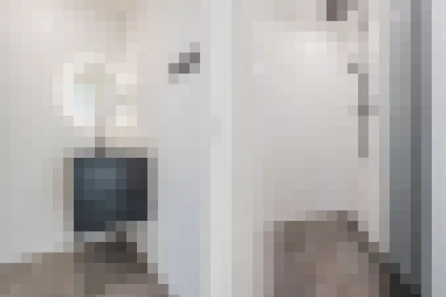 Spiraeastraat 103 Den Haag thumbnail 8