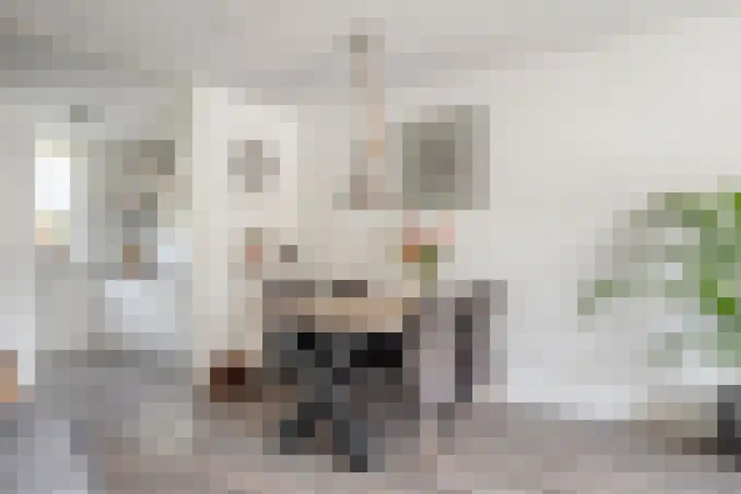 Spiraeastraat 14 Ederveen thumbnail 13