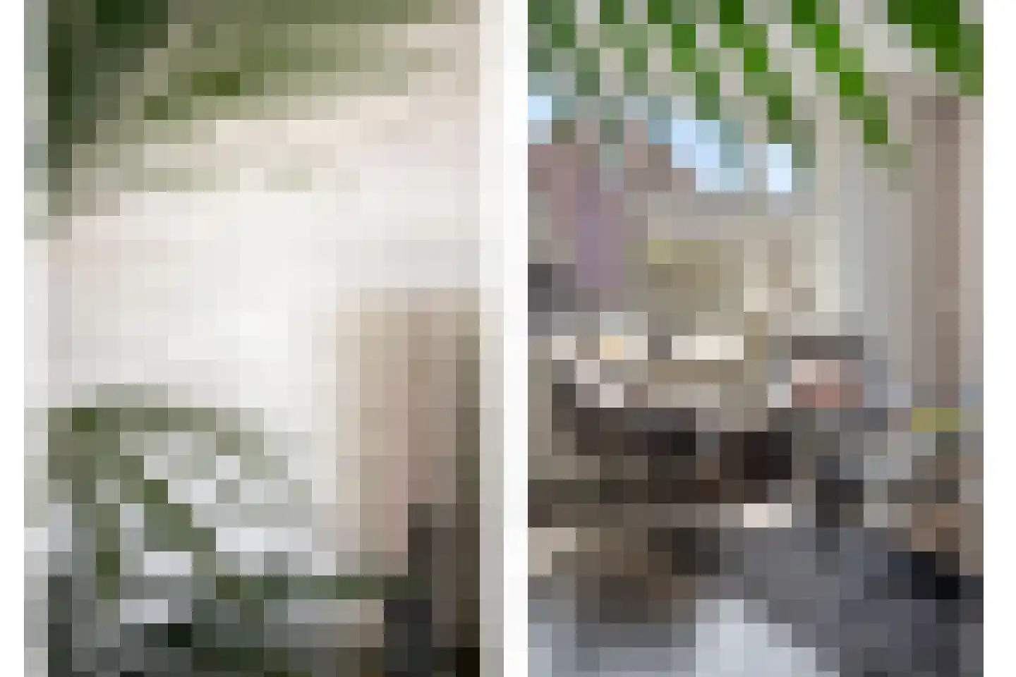 Spiraeastraat 14 Ederveen thumbnail 14