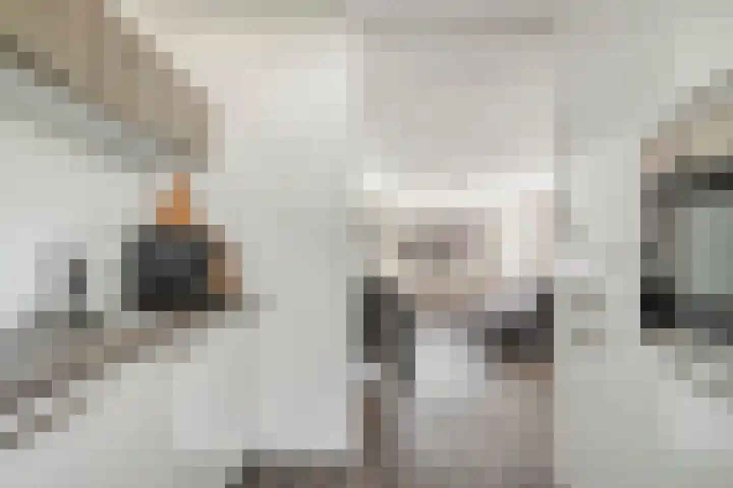 Spiraeastraat 14 Ederveen thumbnail 17