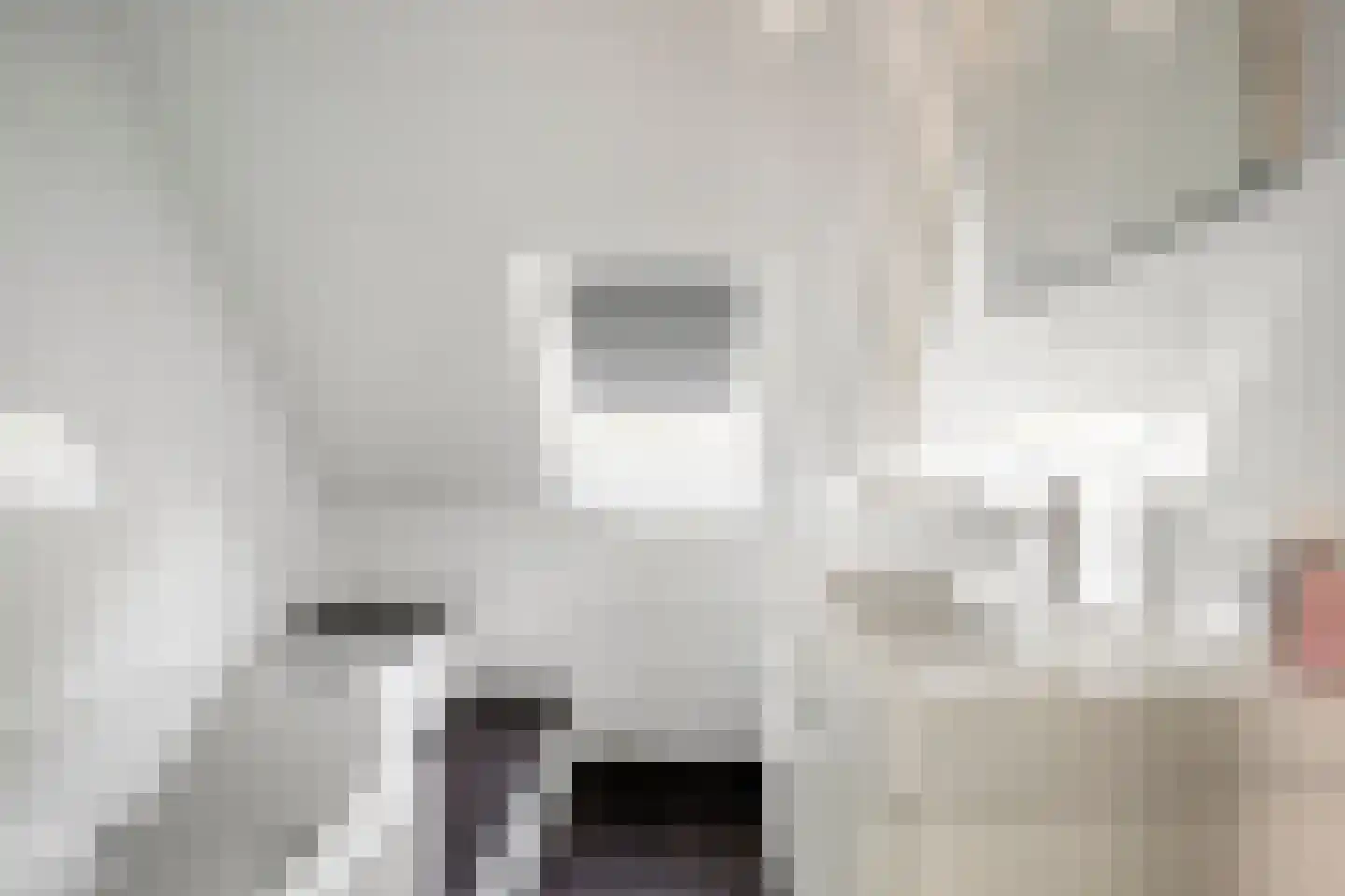 Spiraeastraat 14 Ederveen thumbnail 20