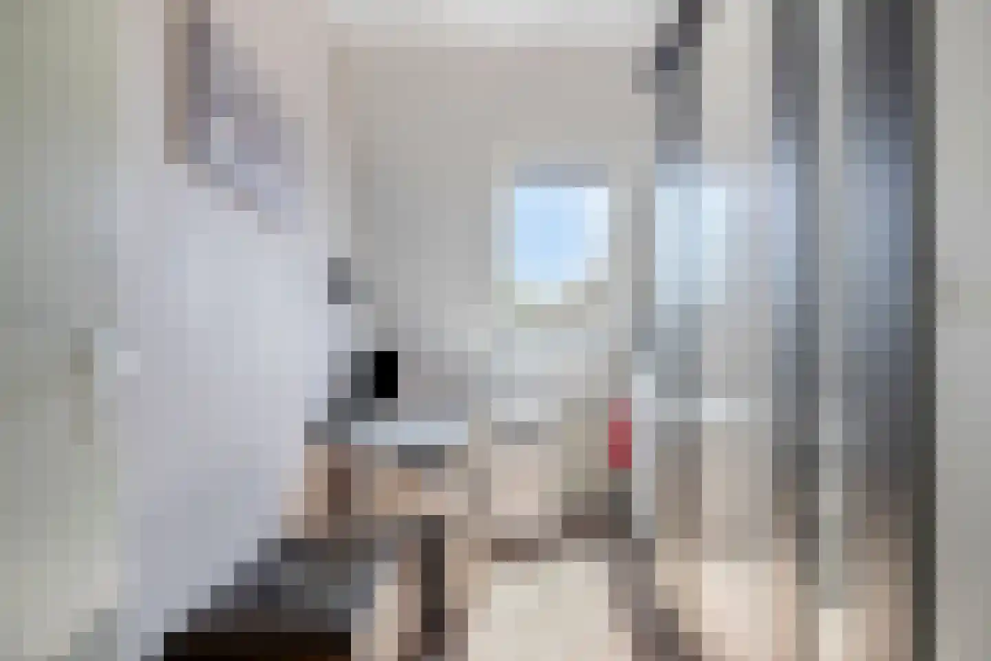 Spiraeastraat 14 Ederveen thumbnail 23