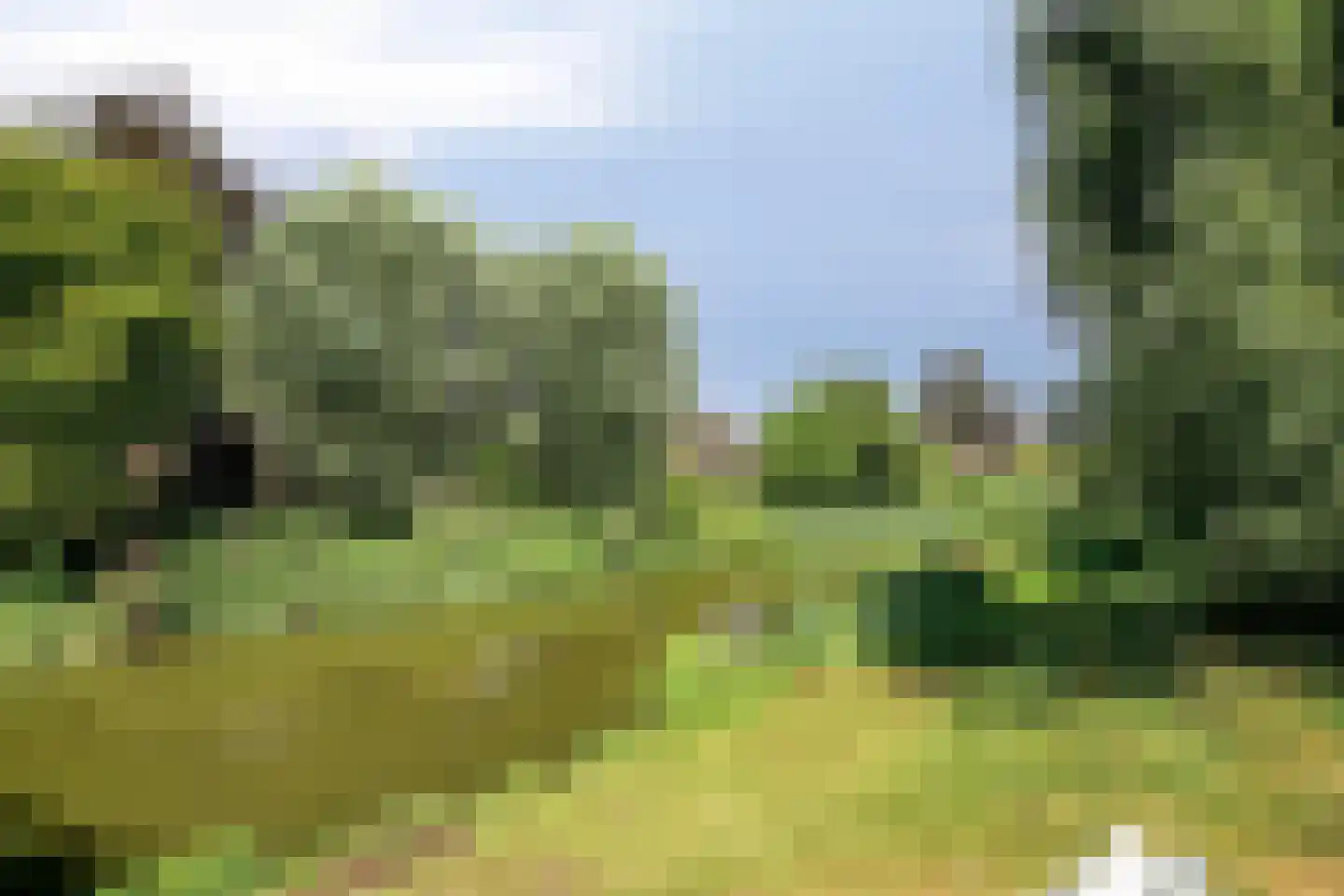 Spiraeastraat 14 Ederveen thumbnail 32