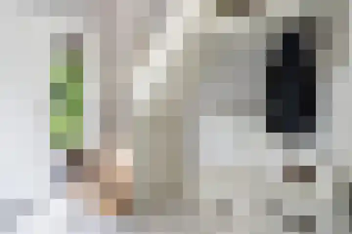 Spiraeastraat 15 Ederveen thumbnail 18