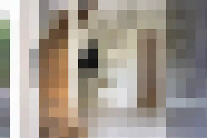Spiraeastraat 15 Ederveen thumbnail 20